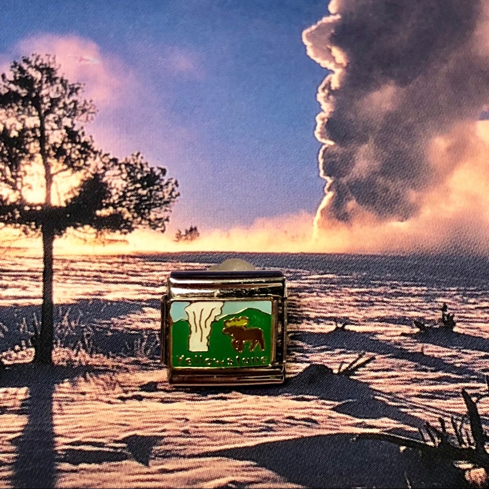 Charm Link- Yellowstone
